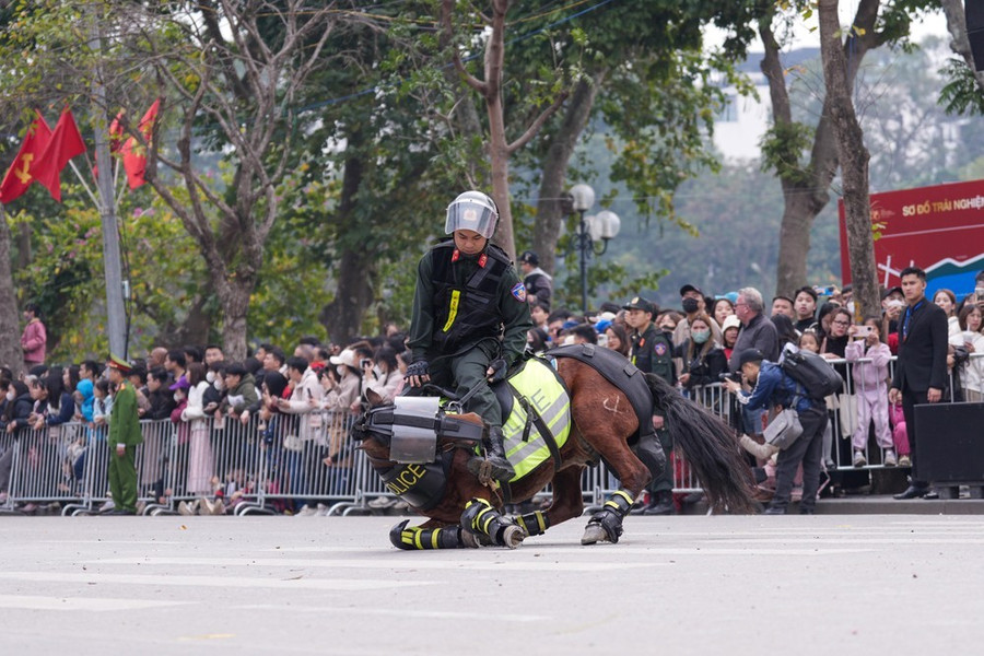 Huấn luyện ngựa là công việc tương đối khó, các động tác, cử chỉ buộc ngựa làm theo phải mất nhiều thời gian, kiên trì. Trong hình là chiến sĩ cảnh sát cơ động kỵ binh huấn luyện ngựa nằm sát đất để bám mục tiêu