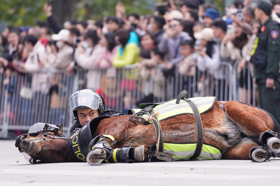 Chiến sĩ cảnh sát cơ động kỵ binh và chú ngựa cùng nằm im bất động