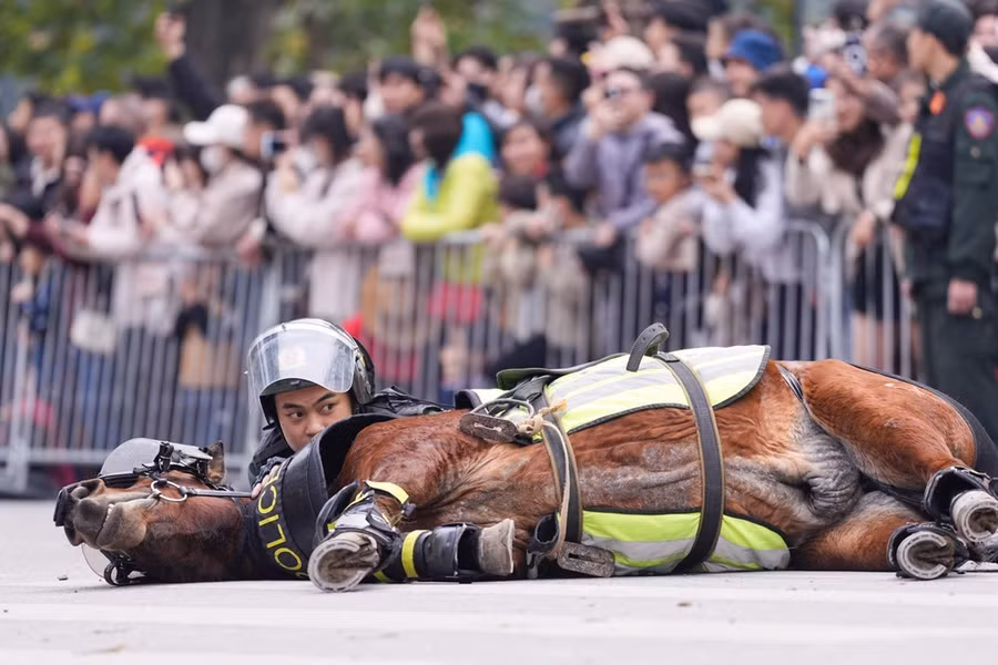 Chiến sĩ cảnh sát cơ động kỵ binh và chú ngựa cùng nằm im bất động