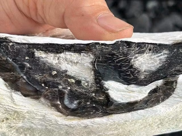 Một sản phẩm giả kỳ nam. ẢNH: L.N.Đ