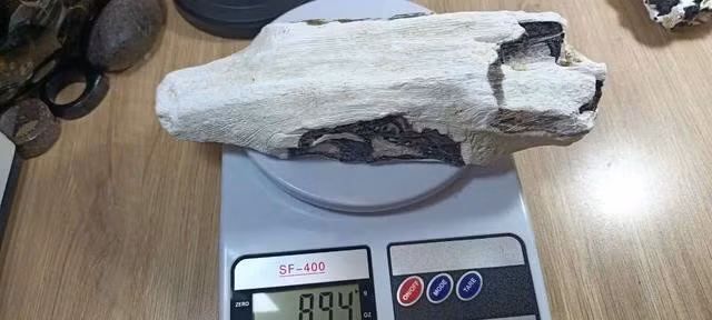 Sản phẩm này không phải kỳ nam dù được rao bán là kỳ nam. ẢNH: L.N.Đ