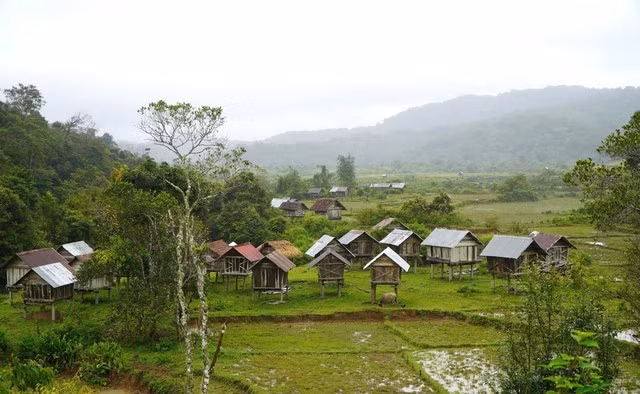 Những ngôi nhà để người dân cất giữ lúa sau khi thu được làm ngay tại cánh đồng, họ chỉ lấy một ít lúa về nhà khi cần sử dụng mà không bao giờ lo bị mất trộm