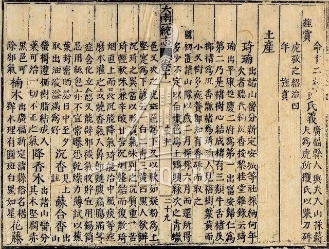 Mộc bản sách Đại Nam nhất thống chí quyển 11, mặt khắc 29. ẢNH: TƯ LIỆU