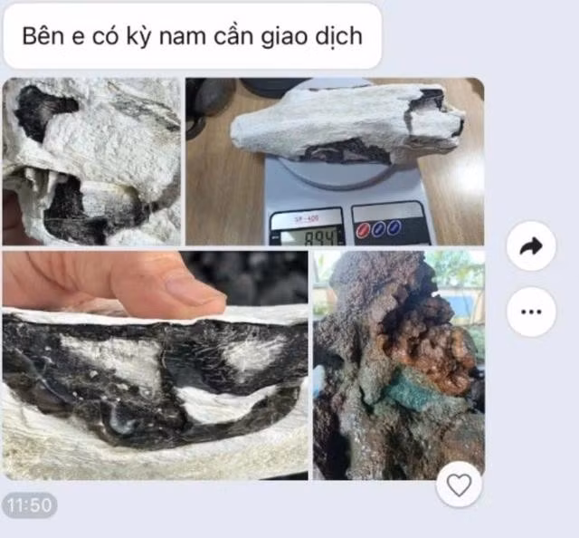 Một tin rao bán kỳ nam trên mạng bị dân trong nghề lật tẩy là giao dịch lừa đảo vì tất cả sản phẩm này đều không phải kỳ nam. ẢNH: CHỤP MÀN HÌNH