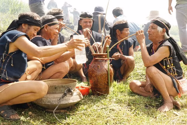 Những cụ già người Ba Na ở làng Kgiang, xã Kông Lơng Khơng, huyện Kbang uống rượu ghè tại lễ cúng lúa mới