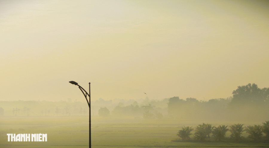 Một cánh chim cô lẻ trong sương sớm