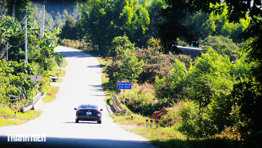 Con dốc tràn nắng dẫn lối dần lên cao nguyên