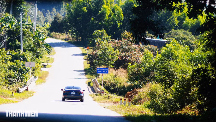 Con dốc tràn nắng dẫn lối dần lên cao nguyên