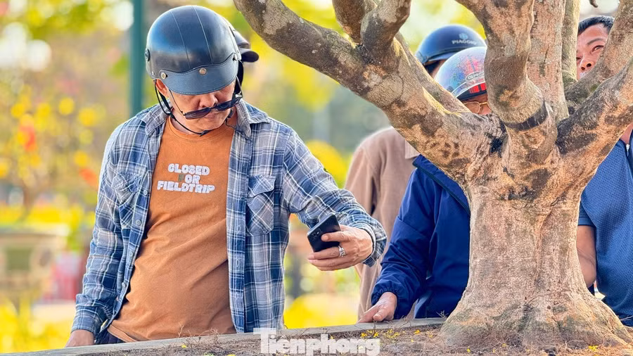 “Tôi không định giá cụ thể, nhưng cây mai này chắc chắn có mức giá tiền tỷ. Ai nhìn cũng thấy đẹp, nhưng nếu là người am hiểu các dòng mai, quan sát tổng thể từ gốc, thân, cành, tán cho tới độ liền lạc tự nhiên, sẽ hiểu vì sao...”, anh Hùng nói.