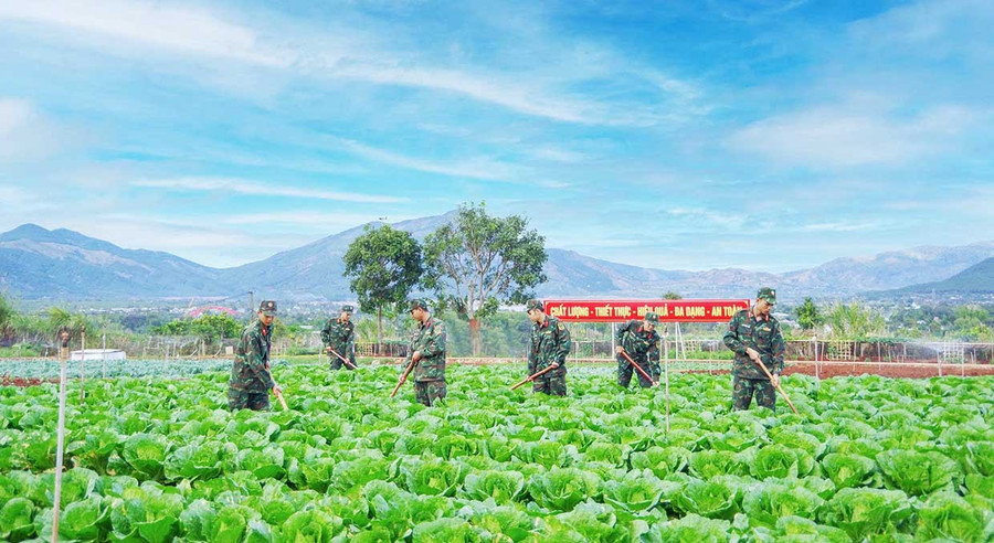 Cán bộ, chiến sĩ Sư đoàn 320 (Quân đoàn 34) tăng gia sản xuất. Ảnh: V.H