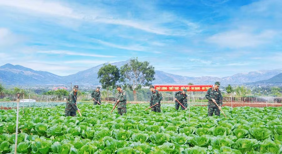 Cán bộ, chiến sĩ Sư đoàn 320 (Quân đoàn 34) tăng gia sản xuất. Ảnh: V.H