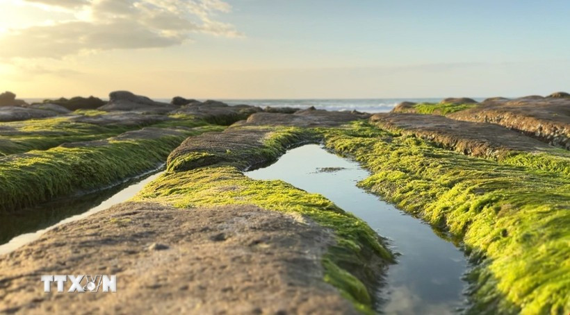 Những tảng đá được rêu phủ xanh. (Nguồn: TTXVN phát)