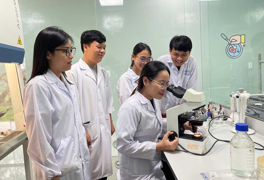 Cuộc thi “Sinh viên QNU với ý tưởng khởi nghiệp” thu hút hơn 100 dự án tham gia. Ảnh: Hồ Điểm