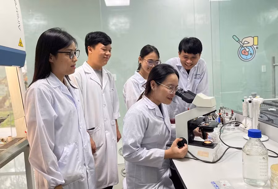 Cuộc thi “Sinh viên QNU với ý tưởng khởi nghiệp” thu hút hơn 100 dự án tham gia. Ảnh: Hồ Điểm