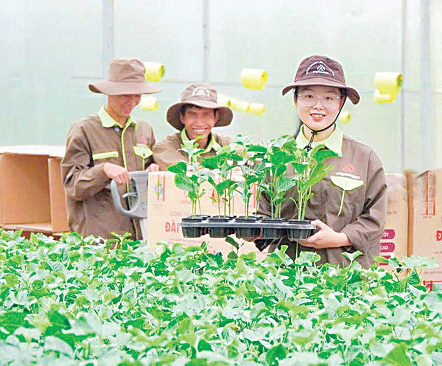 Sinh viên Phân hiệu Trường Đại học Lâm nghiệp tại Gia Lai trải nghiệm “Học kỳ doanh nghiệp” tại Công ty Cổ phần Nafoods Tây Nguyên. Ảnh: ĐVCC