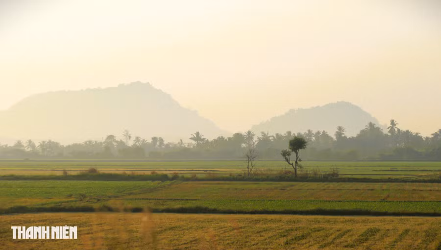 Đồng bãi vào mùa hoa màu tết