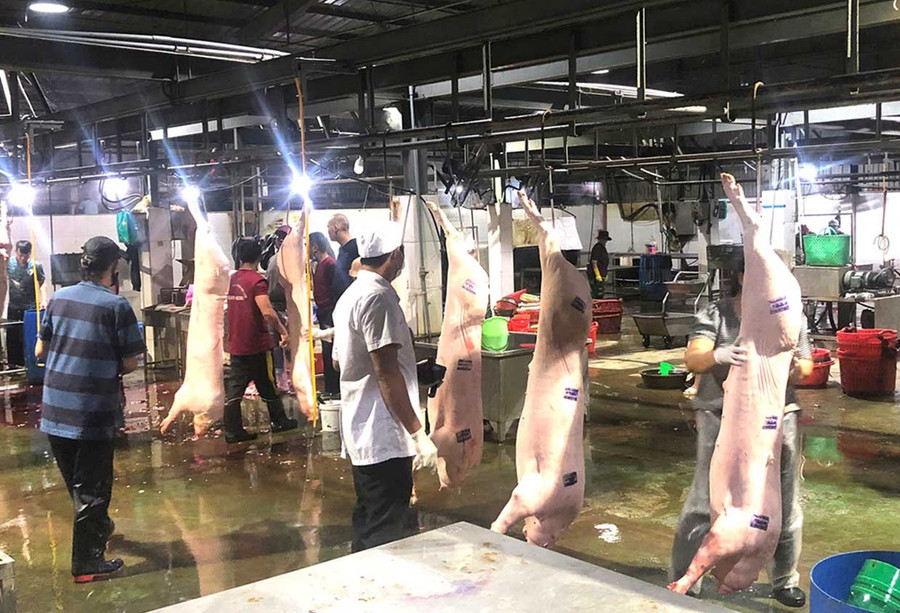 Công ty TNHH Sản xuất, chế biến thực phẩm Quy Nhơn thu hút 180 cơ sở giết mổ nhỏ lẻ vào giết mổ tập trung. Ảnh: H.T