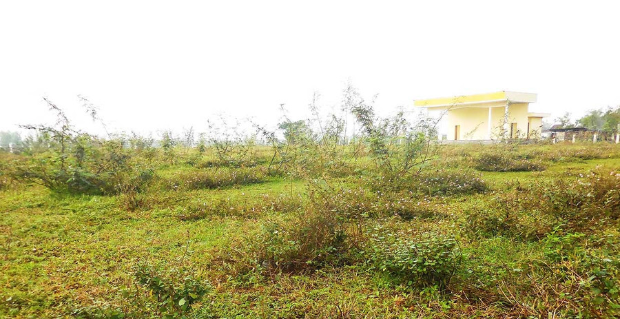 Cổng Sân vận động Nhơn Khánh khá bề thế nhưng bên trong sân chính thì cỏ dại mọc um tùm, gây mất mỹ quan và lãng phí tài nguyên đất đai. Ảnh: V.L