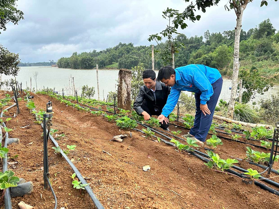Anh Bùi Ngọc Thanh (bên trái, làng K2, xã Vĩnh Sơn) giới thiệu về mô hình nông nghiệp gắn với du lịch trải nghiệm. Ảnh: T.C