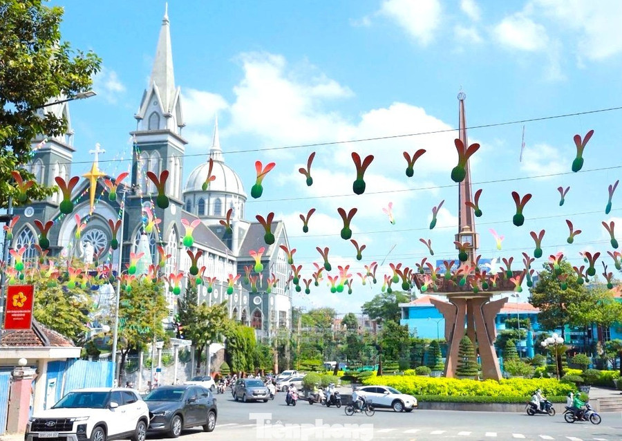 Ông Vương Đức Hiếu - Giám đốc Trung tâm Văn hóa - Thông tin và Thể thao phường Thủ Dầu Một cho biết, có khoảng 2.600 chiếc nón được sử dụng để trưng bày trên đường Quang Trung﻿. Công trình đường nón lá hoàn thành vào ngày 23/12.