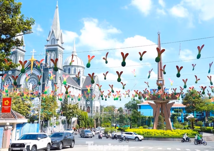 Ông Vương Đức Hiếu - Giám đốc Trung tâm Văn hóa - Thông tin và Thể thao phường Thủ Dầu Một cho biết, có khoảng 2.600 chiếc nón được sử dụng để trưng bày trên đường Quang Trung﻿. Công trình đường nón lá hoàn thành vào ngày 23/12.