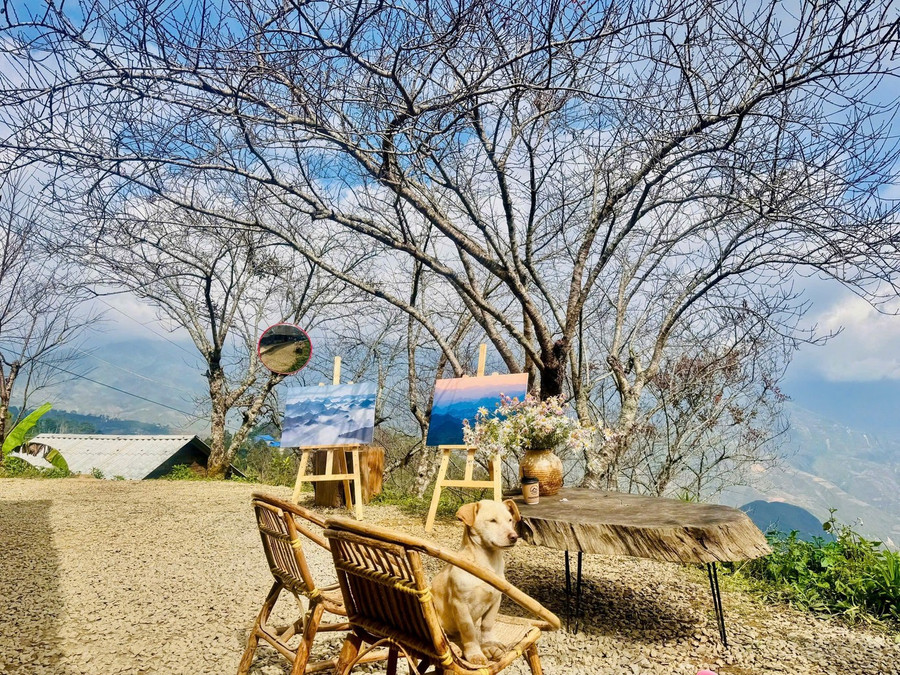 Du khách đổ về xã Tà Xùa, Sơn La để check-in tại mái nhà của một quán cà phê đang gây sốt cộng đồng mạng.