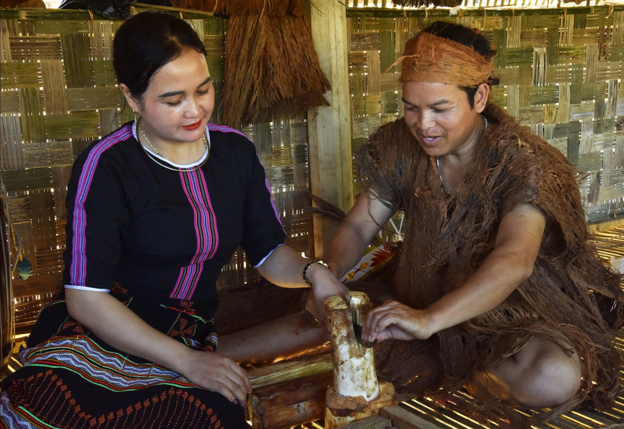 Đồng bào Cơ Tu khai thác đọt non của cây tơr’đin để chế biến các món ăn.