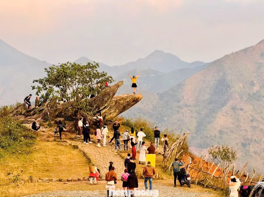 Ngoài điểm check-in mới nổi này, các địa danh quen thuộc như Cây cô đơn, Mỏm cá heo... vẫn duy trì sức hút lớn.