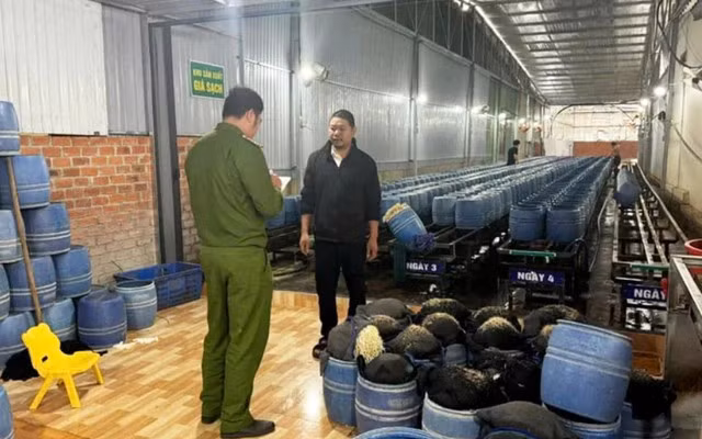 Công an tỉnh Đắk Lắk kiểm tra một cơ sở sản xuất giá đỗ ngâm chất cấm trên địa bàn TP.Buôn Ma Thuột (Đắk Lắk cũ).