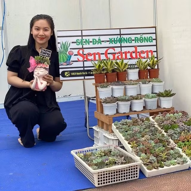 Thanh Tú sáng tạo những chậu cây sen đá tiểu cảnh độc đáo. ẢNH: DUY TÂN