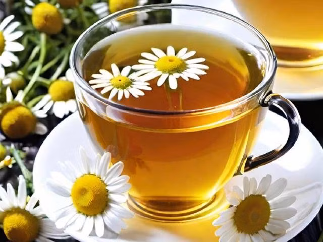 Trà hoa cúc tốt cho sức khỏe nhưng thành phần trong trà có thể tương tác với một số loại thuốc trị tiểu đường. ẢNH: AI