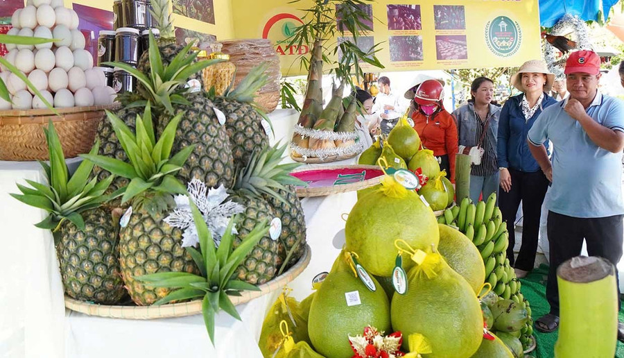 Ngày hội Nông sản tỉnh Gia Lai lần thứ I năm 2025 là dịp tôn vinh, quảng bá sản phẩm nông nghiệp tiêu biểu.