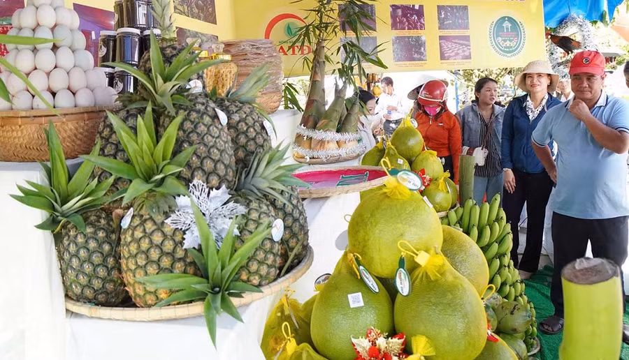 Ngày hội Nông sản tỉnh Gia Lai lần thứ I năm 2025 là dịp tôn vinh, quảng bá sản phẩm nông nghiệp tiêu biểu.