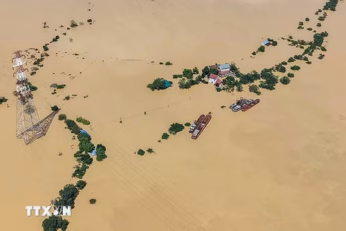 Nhiều hộ dân thôn Ngô Đạo, xã Đa Phúc (Hà Nội) bị cô lập do nước sông Cầu dâng cao. (Ảnh: Hoàng Hiếu/TTXVN)