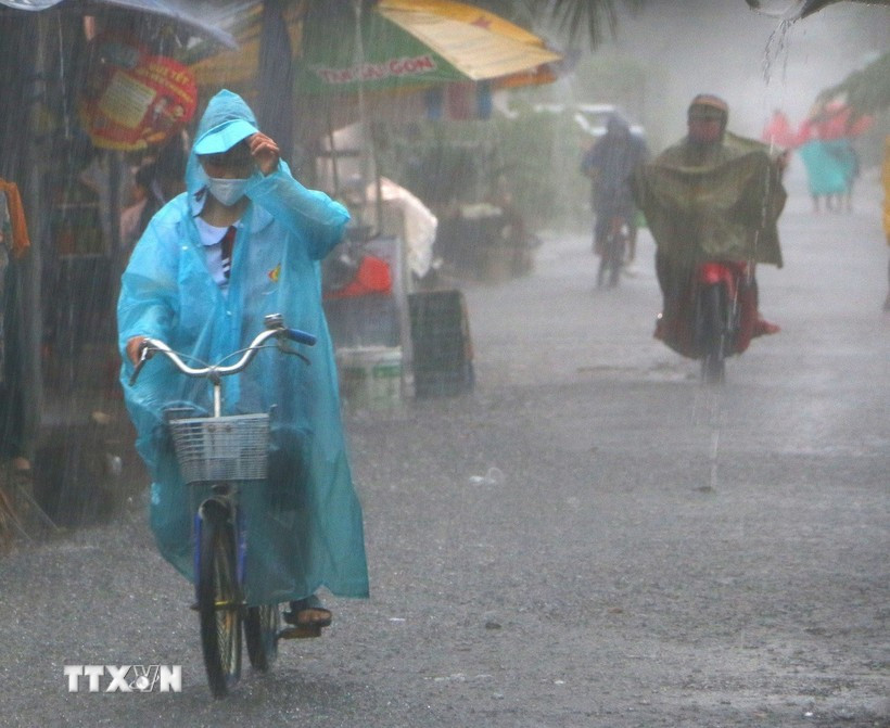 Ảnh minh họa/ (Nguồn: TTXVN) mua-dong.jpg