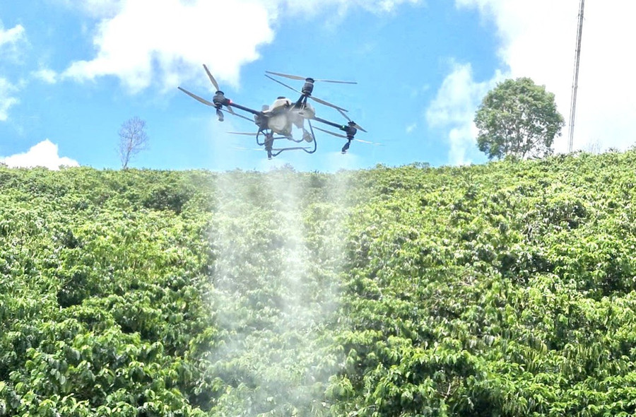 Chăm sóc vườn cà phê bằng drone đang là xu hướng phổ biến ở Gia Lai. Ảnh: Đăng Lâm Chăm sóc vườn cà phê bằng drone đang là xu hướng phổ biến ở Gia Lai. Ảnh: Đăng Lâm