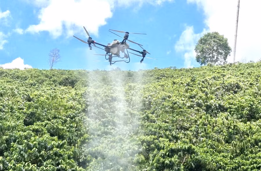 Chăm sóc vườn cà phê bằng drone đang là xu hướng phổ biến ở Gia Lai. Ảnh: Đăng Lâm