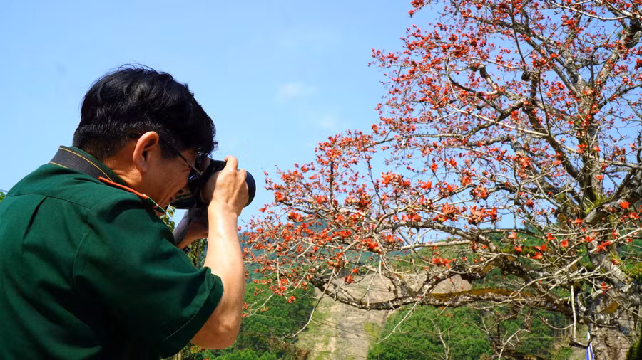 Giữa đại ngàn Trường Sơn, cây gạo già sừng sững như chứng nhân trầm mặc, lặng lẽ kể câu chuyện về một thời hoa lửa . ẢNH: MẠNH CƯỜNG