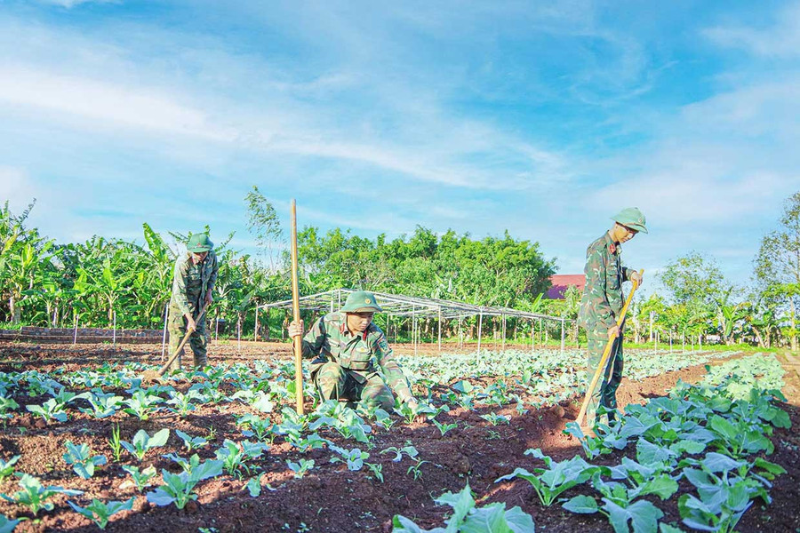 Cán bộ, chiến sĩ Trung đoàn 64 tăng gia sản xuất. Ảnh: V.H