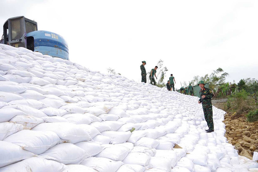 Đê sông Cát qua xã Tuy Phước bị vỡ một đoạn trong đợt lũ tháng 11-2025 và được hàn khẩu sau đó. Ảnh: T.Lợi