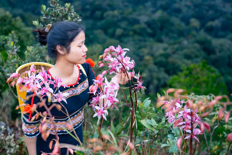 Hoa nở trên lưng đồi ở Măng Đen. ẢNH: CẨM ÁI