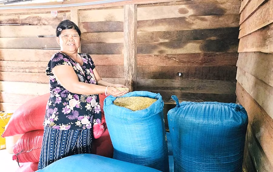 Bà Rơ Châm Thon (làng Klăh, xã Ia Mơ) phấn khởi khi năng suất lúa cao từ khi chuyển sang trồng lúa nước. Ảnh: Hồng Thương