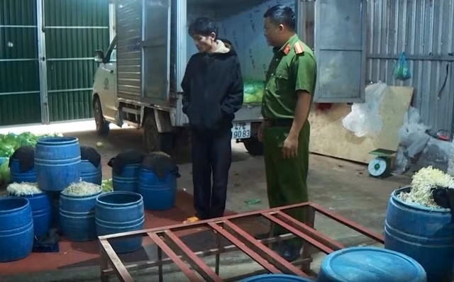 Công an kiểm tra một cơ sở làm giá đỗ sử dụng chất cấm tại TP.Buôn Ma Thuột. . ẢNH: CÔNG AN CUNG CẤP