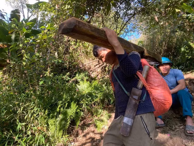 Hạng A Chơ với thành quả đi núi từ 4 giờ sáng là túi trà mới hái và tấm gỗ về sửa nhà
