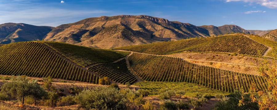 Những vách đá dựng đứng và những cụm đá cuội khiến nơi đây khó trồng trọt, nhờ vậy đã thu hút du khách ưa chuộng khung cảnh hoang dã. ẢNH: Getty Images