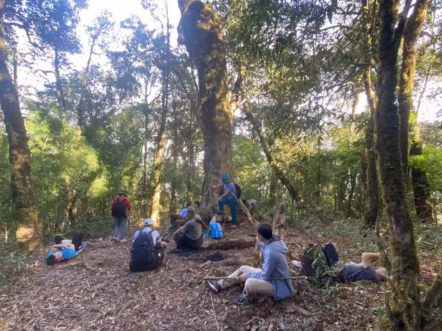 Phút nghỉ chân bên những gốc đại thụ nghìn năm tuổi. Ảnh: Lam Phong