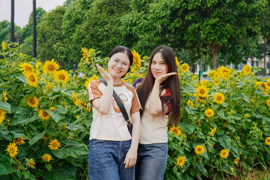 Bạn trẻ chụp hình tại vườn hoa hướng. ẢNH: PHAN HƯƠNG