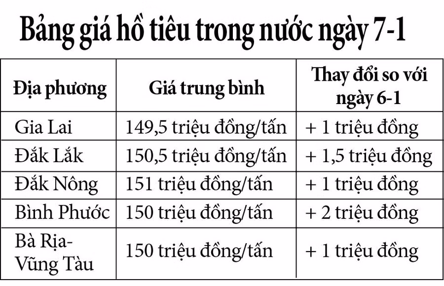gia-ho-tieu.jpg