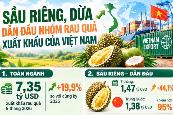 Sầu riêng, dừa dẫn đầu nhóm rau quả xuất khẩu của Việt Nam