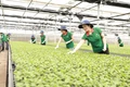Gia Lai: Chấp thuận chủ trương đầu tư 17 dự án